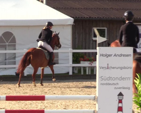 Reitturnier Ladelunder Springtage 2023