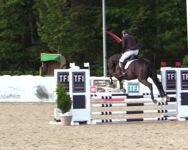 Reitturnier Ladelunder Springtage 2023