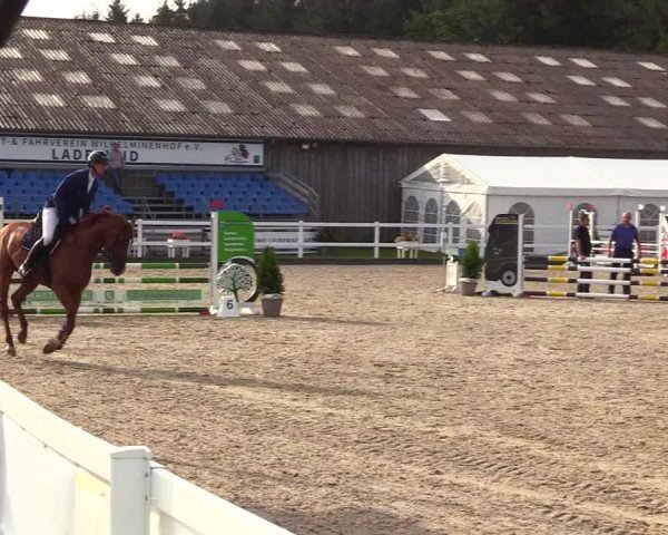 Reitturnier Ladelunder Springtage 2023