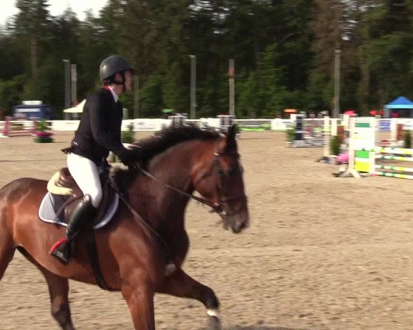 Reitturnier Ladelunder Springtage 2023