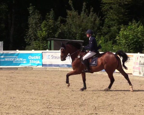 Reitturnier Ladelunder Springtage 2023