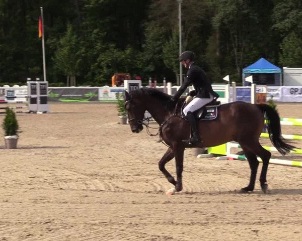 Reitturnier Ladelunder Springtage 2023