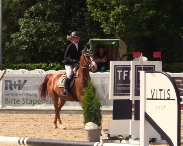 Reitturnier Ladelunder Springtage 2023