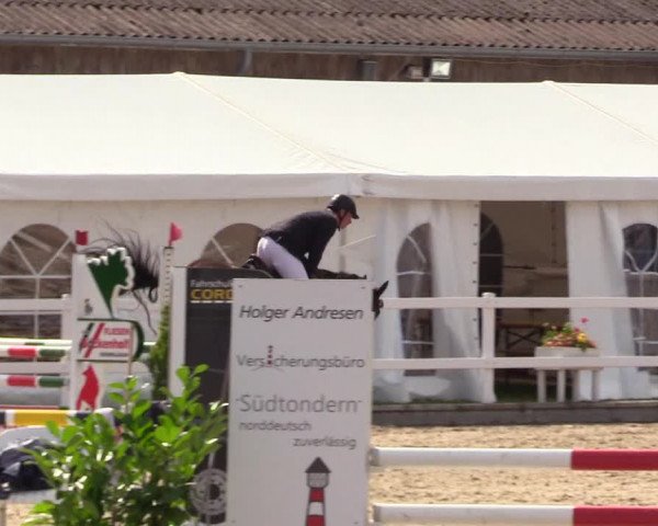 Reitturnier Ladelunder Springtage 2023