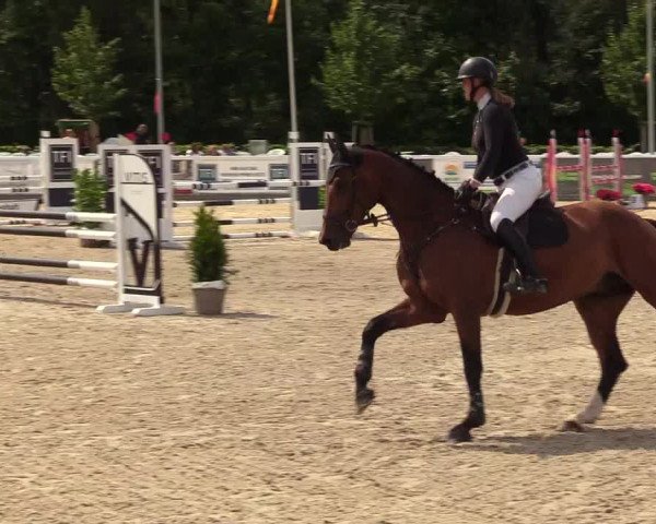 Reitturnier Ladelunder Springtage 2023