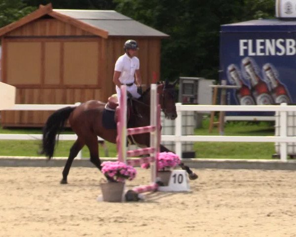 Reitturnier Ladelunder Springtage 2023