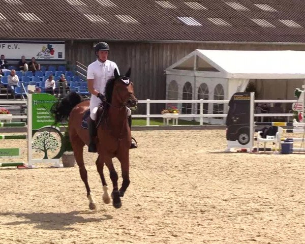 Reitturnier Ladelunder Springtage 2023