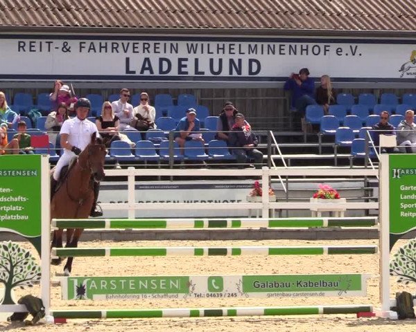 Reitturnier Ladelunder Springtage 2023