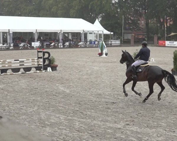 Reitturnier Klein Roscharden 2023