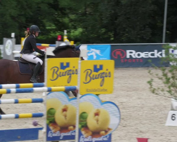 Reitturnier Karlsfeld 2023