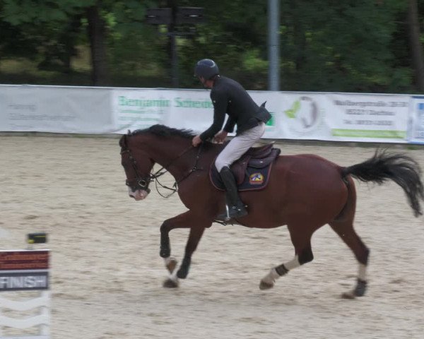 Reitturnier Karlsfeld 2023