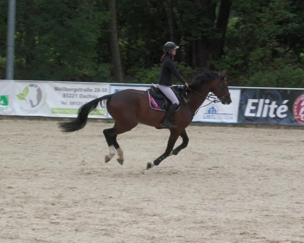Reitturnier Karlsfeld 2023