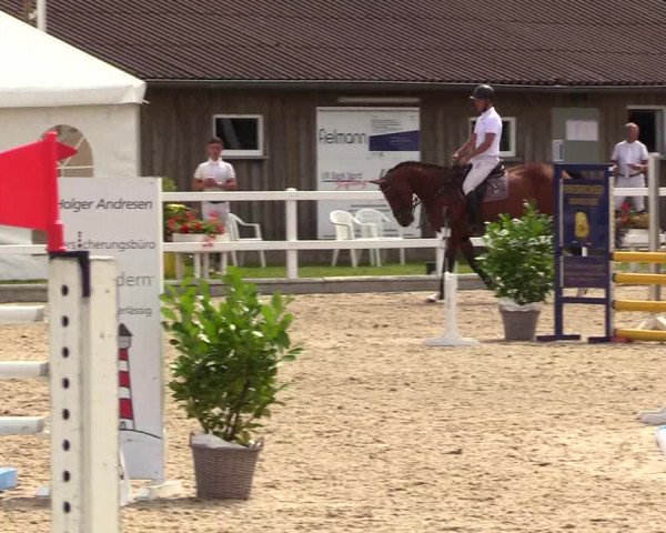 Reitturnier Ladelunder Springtage 2023
