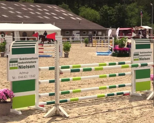 Reitturnier Ladelunder Springtage 2023