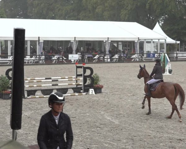 Reitturnier Klein Roscharden 2023