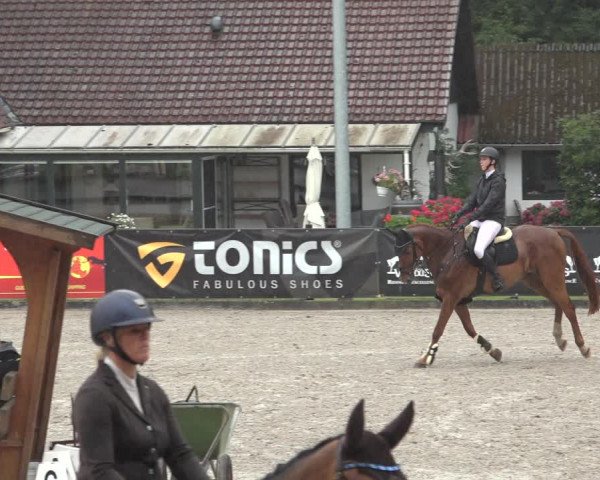 Reitturnier Klein Roscharden 2023
