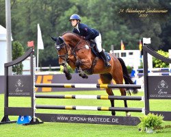 jumper Crazy little Chac Chac (Oldenburg show jumper, 2019, from Chacco's Son II)