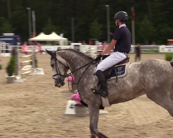 Reitturnier Ladelunder Springtage 2023