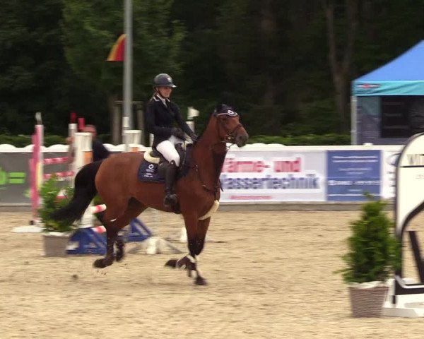 Reitturnier Ladelunder Springtage 2023