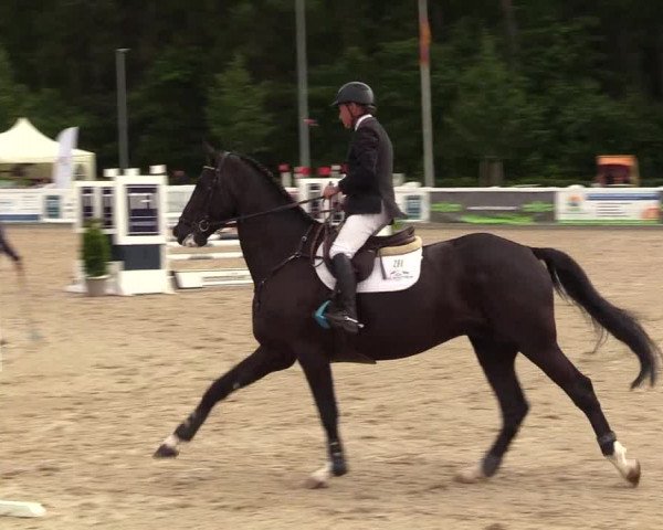 Reitturnier Ladelunder Springtage 2023
