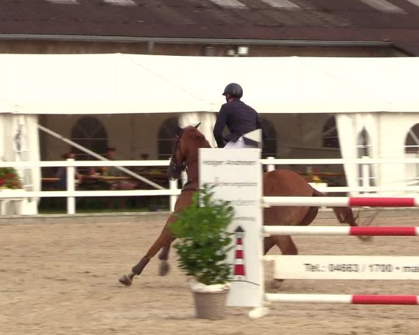 Reitturnier Ladelunder Springtage 2023