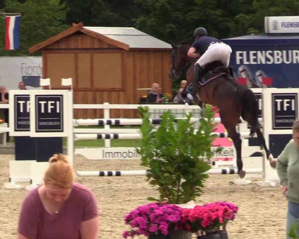 Reitturnier Ladelunder Springtage 2023