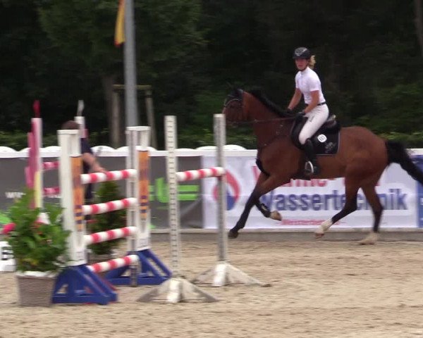 Reitturnier Ladelunder Springtage 2023