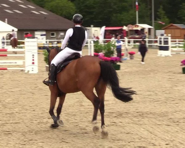 Reitturnier Ladelunder Springtage 2023