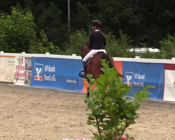 Reitturnier Ladelunder Springtage 2023