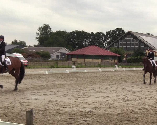 Reitturnier Breiholz/ Schülp 2023