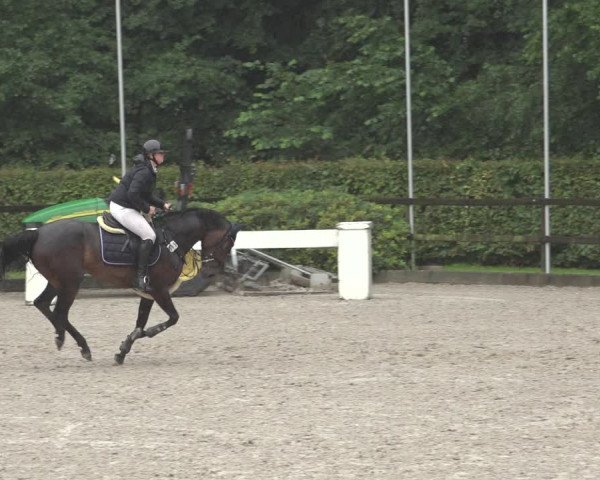 Reitturnier Klein Roscharden 2023