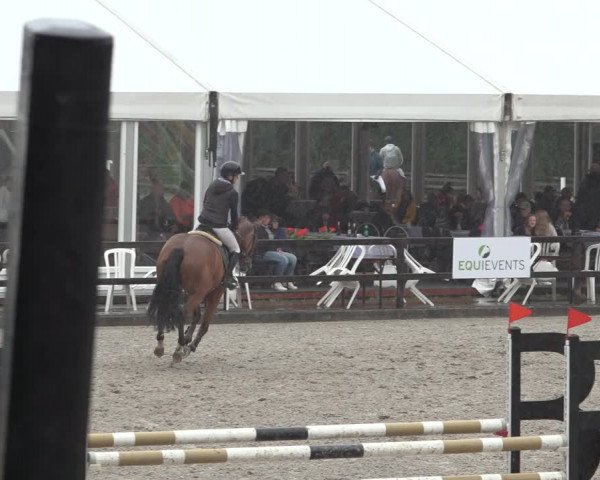 Reitturnier Klein Roscharden 2023