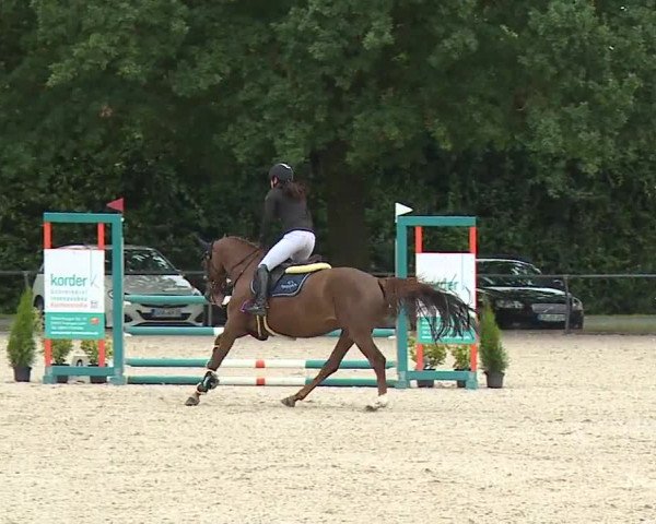 Reitturnier Rot am See- Musdorf 2023
