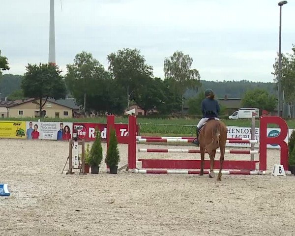 Reitturnier Rot am See- Musdorf 2023