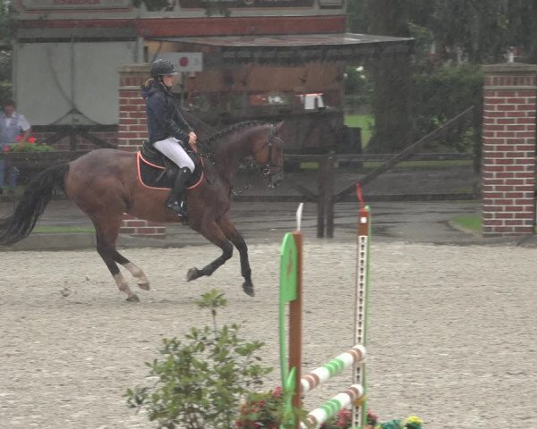 Reitturnier Klein Roscharden 2023