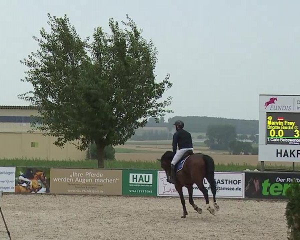 Reitturnier Rot am See- Musdorf 2023