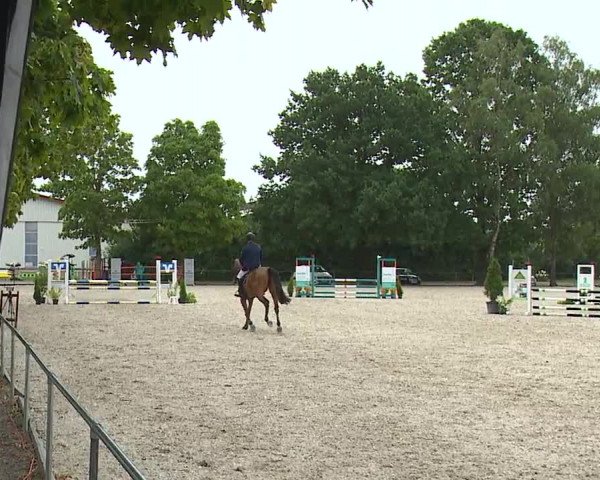 Reitturnier Rot am See- Musdorf 2023