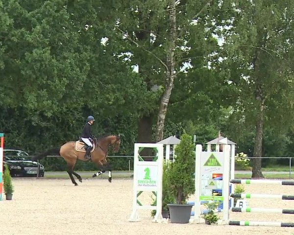 Reitturnier Rot am See- Musdorf 2023