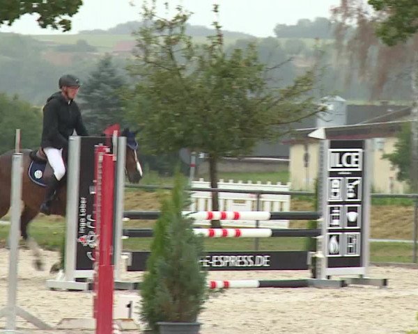 Reitturnier Rot am See- Musdorf 2023