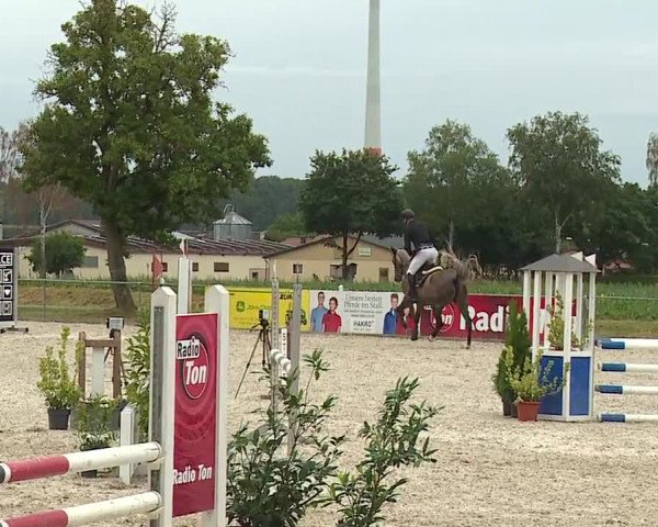 Reitturnier Rot am See- Musdorf 2023