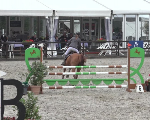 Reitturnier Klein Roscharden 2023