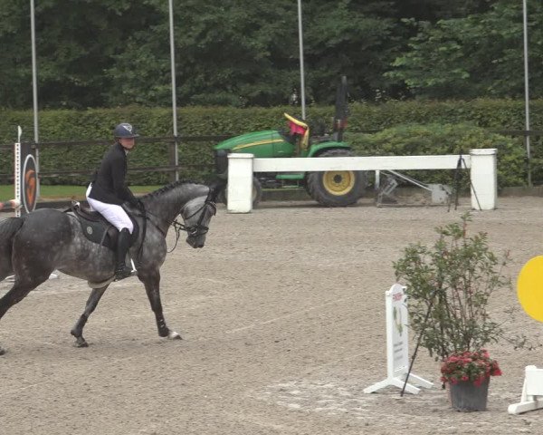 Reitturnier Klein Roscharden 2023