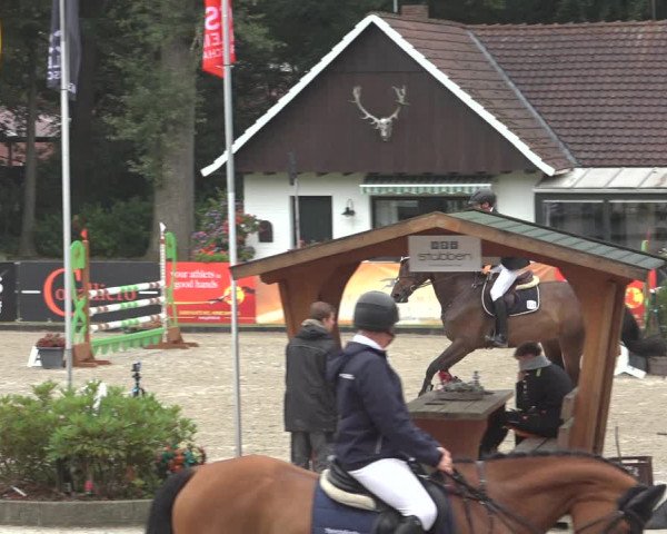 Reitturnier Klein Roscharden 2023