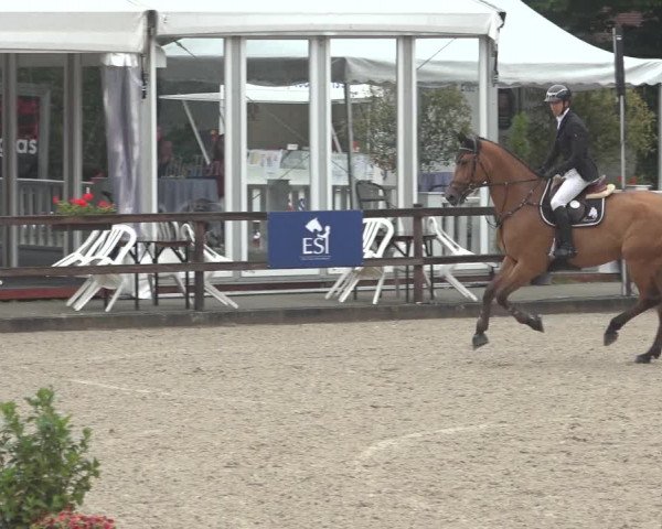 Reitturnier Klein Roscharden 2023