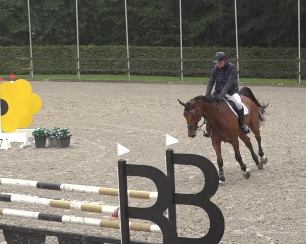 Reitturnier Klein Roscharden 2023