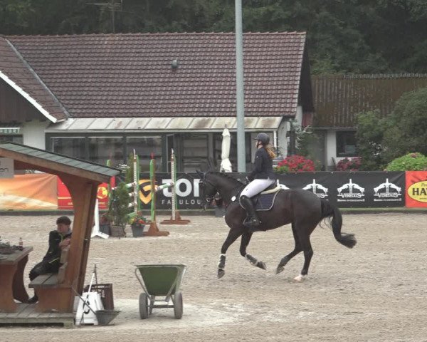 Reitturnier Klein Roscharden 2023