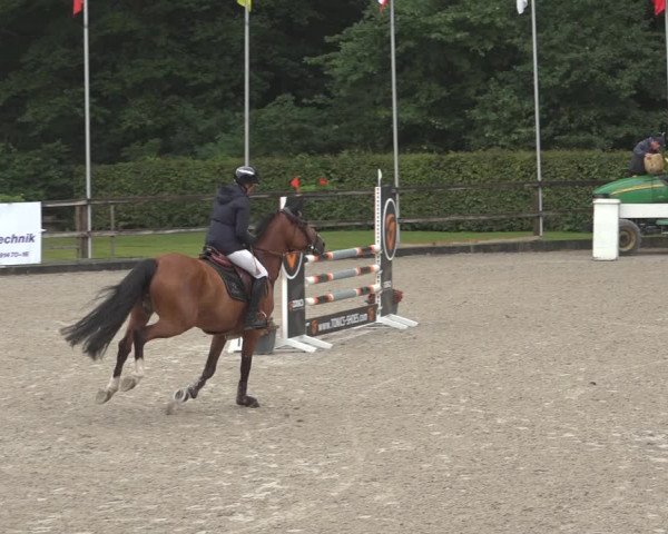 Reitturnier Klein Roscharden 2023