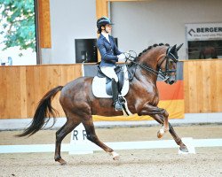 dressage horse Inspire 4 (KWPN (Royal Dutch Sporthorse), 2013, from Glock's Johnson Tn)
