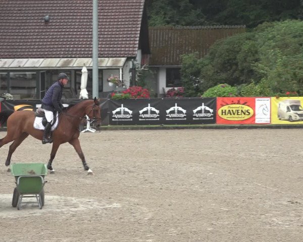 Reitturnier Klein Roscharden 2023