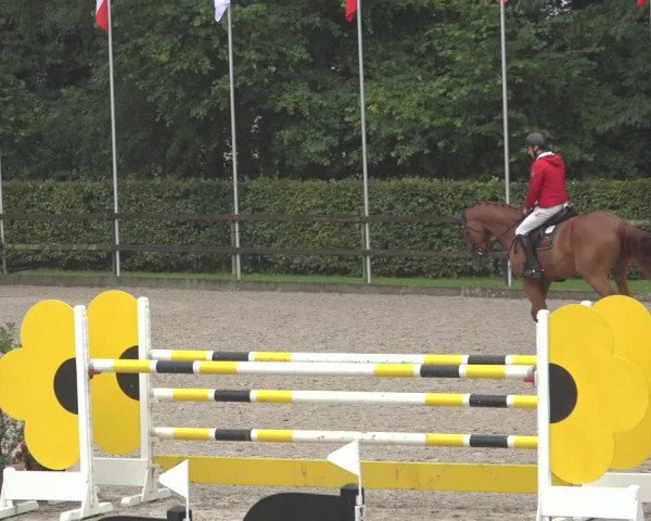 Reitturnier Klein Roscharden 2023